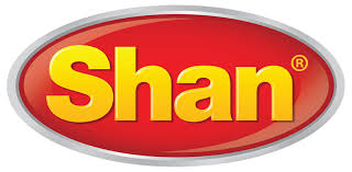 logo shaan